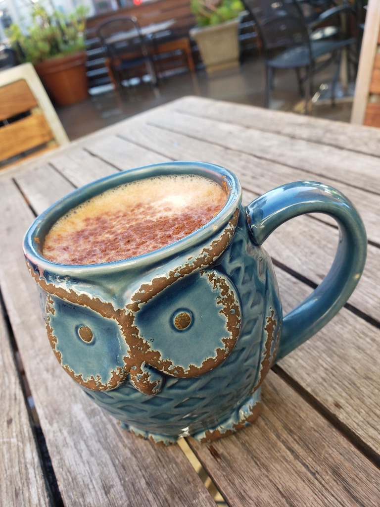 Latte in a Blue Ceramic Owl Mug at The Night Owl